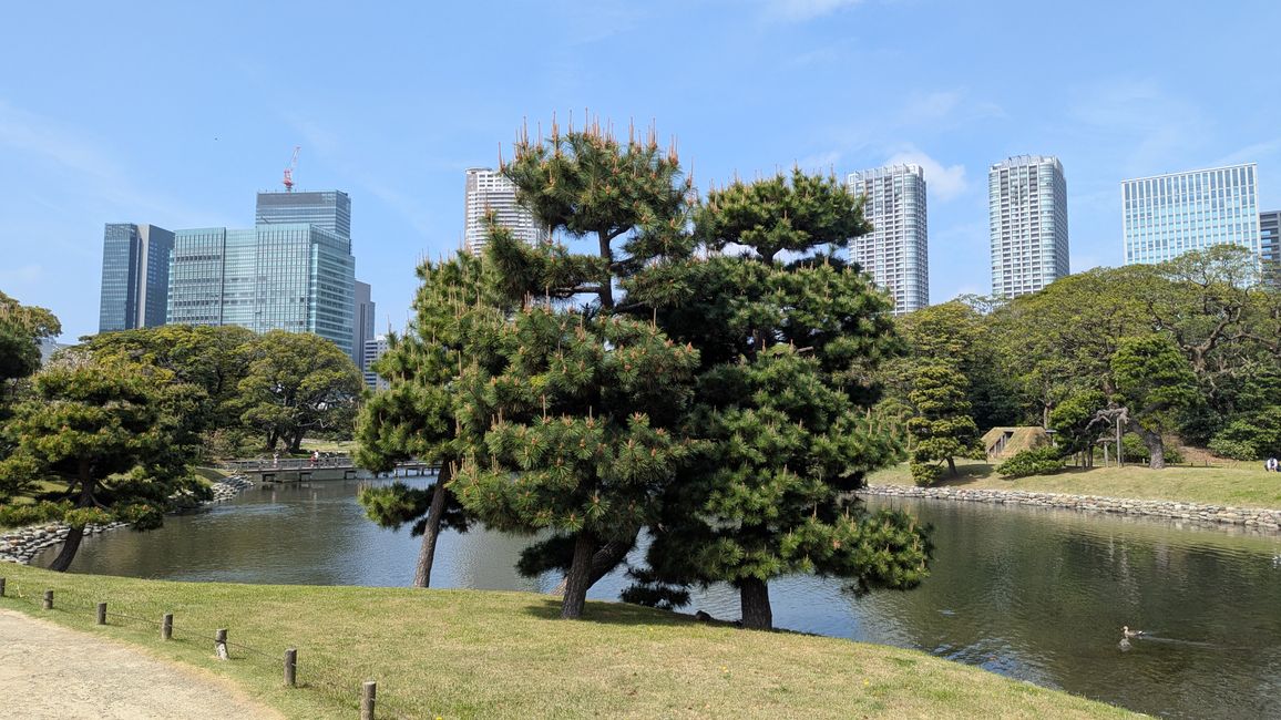 Traumhafter (anstrengender) 2. Tag in Tokyo