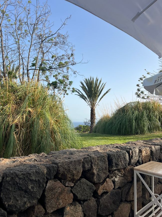 resti view