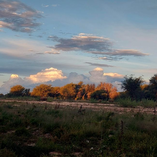 Der erste Tag in Namibia