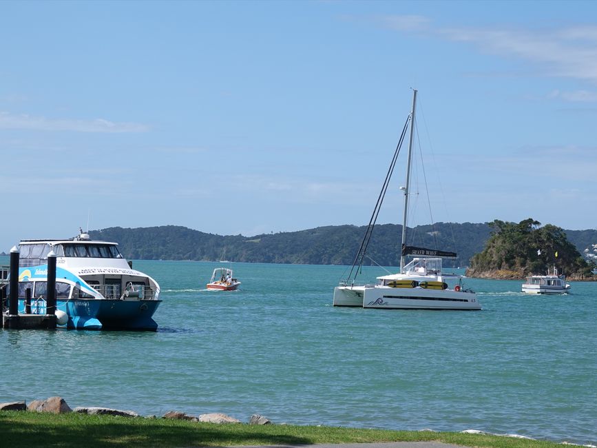 From Whangārei Heads to the Bay of Islands....