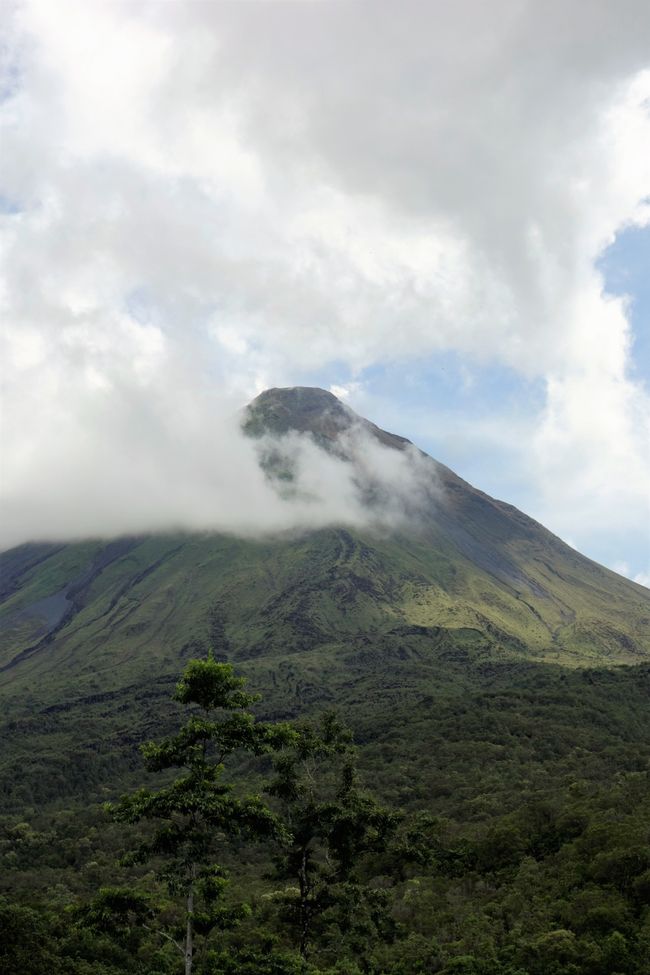 Die Entdeckung der Langsamkeit