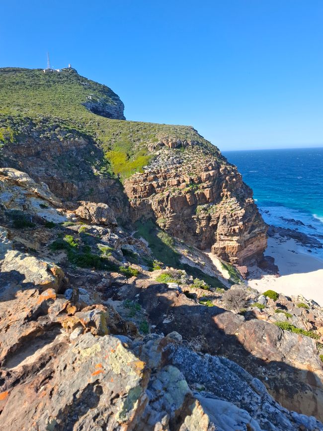 Cabo de Buena Esperanza + Playa de Boulders