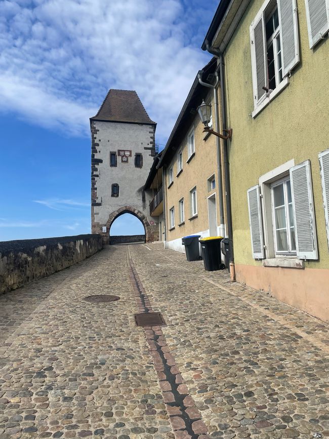 Weil am Rhein jusqu'à Strasbourg