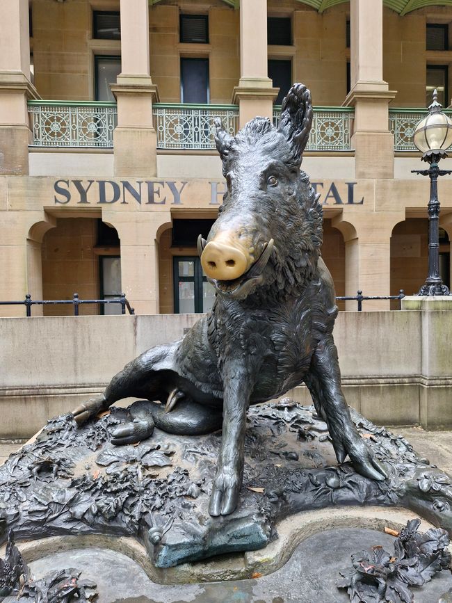 Sydney Hospital