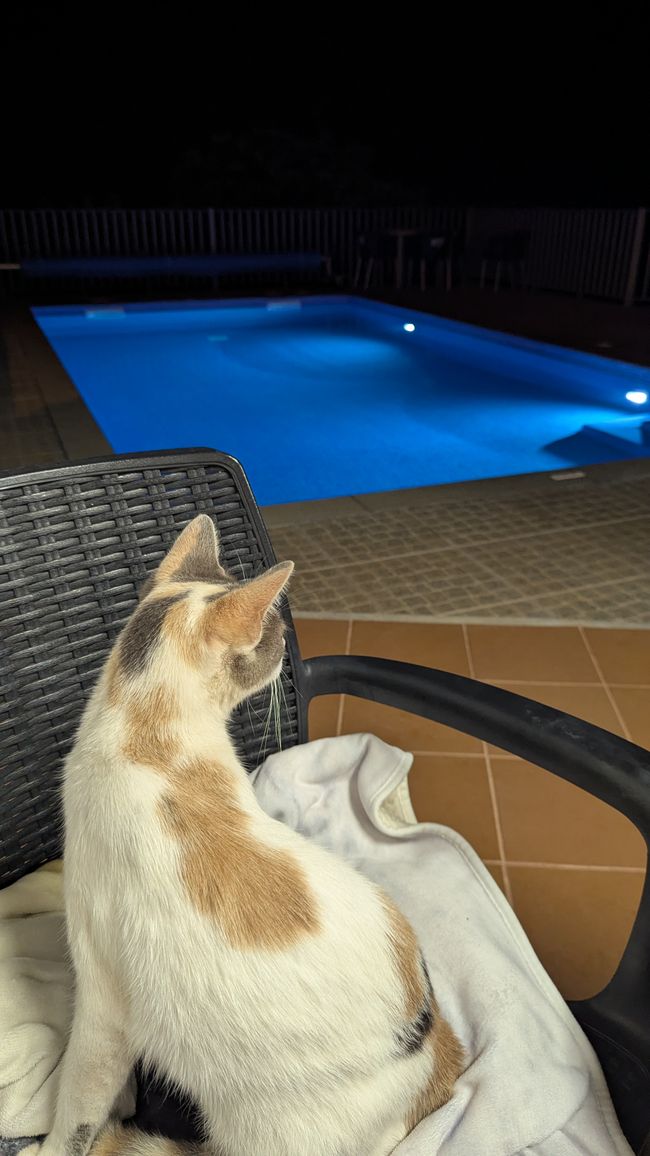 Tag 13: Levada da Ribeira da Janela & Nordwestküste