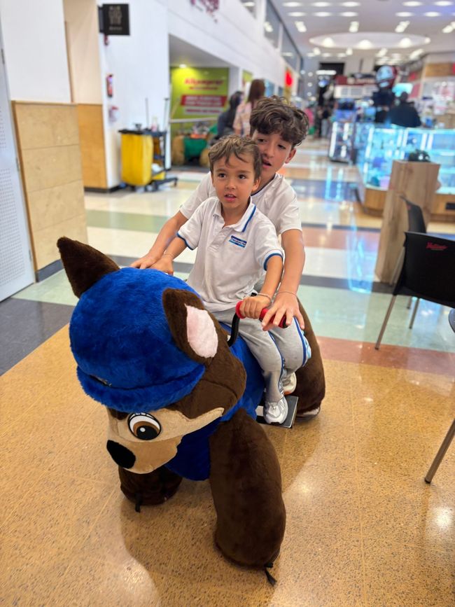 שבוע 18-19: אין חדש