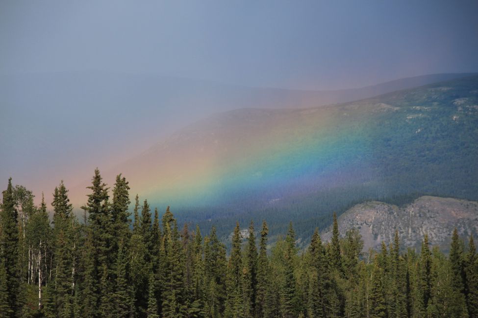 Tag 18: Kinaskan Lake bis Boya Lake: Abenteuer Stewart-Cassiar-Hwy