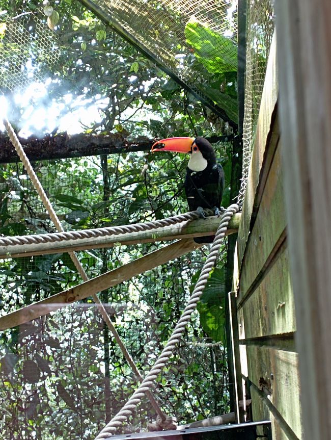 Zoo Guadeloupe