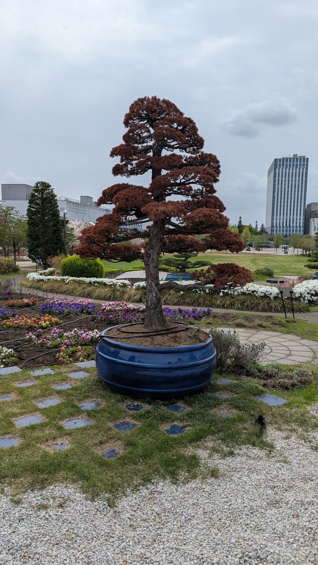 Prime impressioni di Tokyo