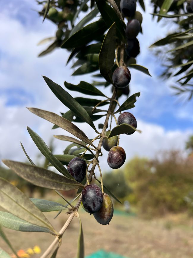 It’s not about me, it’s about us!