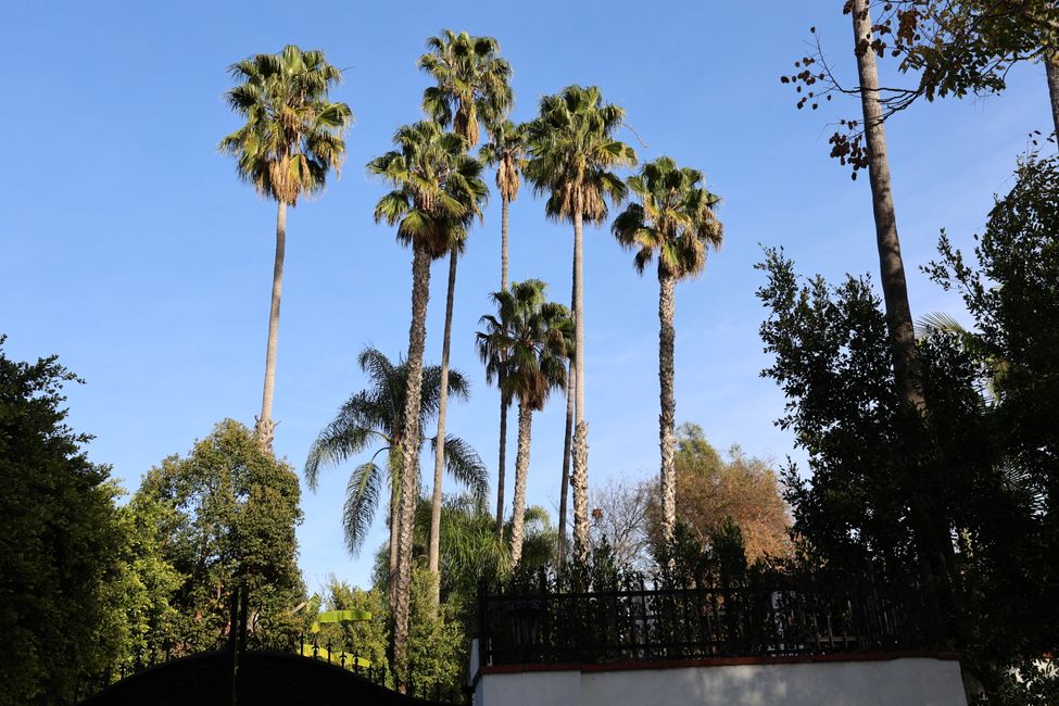 Hollywood