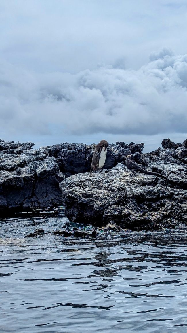 Galapagos Islands