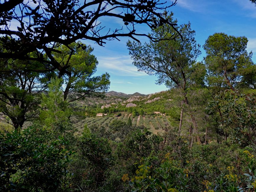 The Flavors of the Alpilles