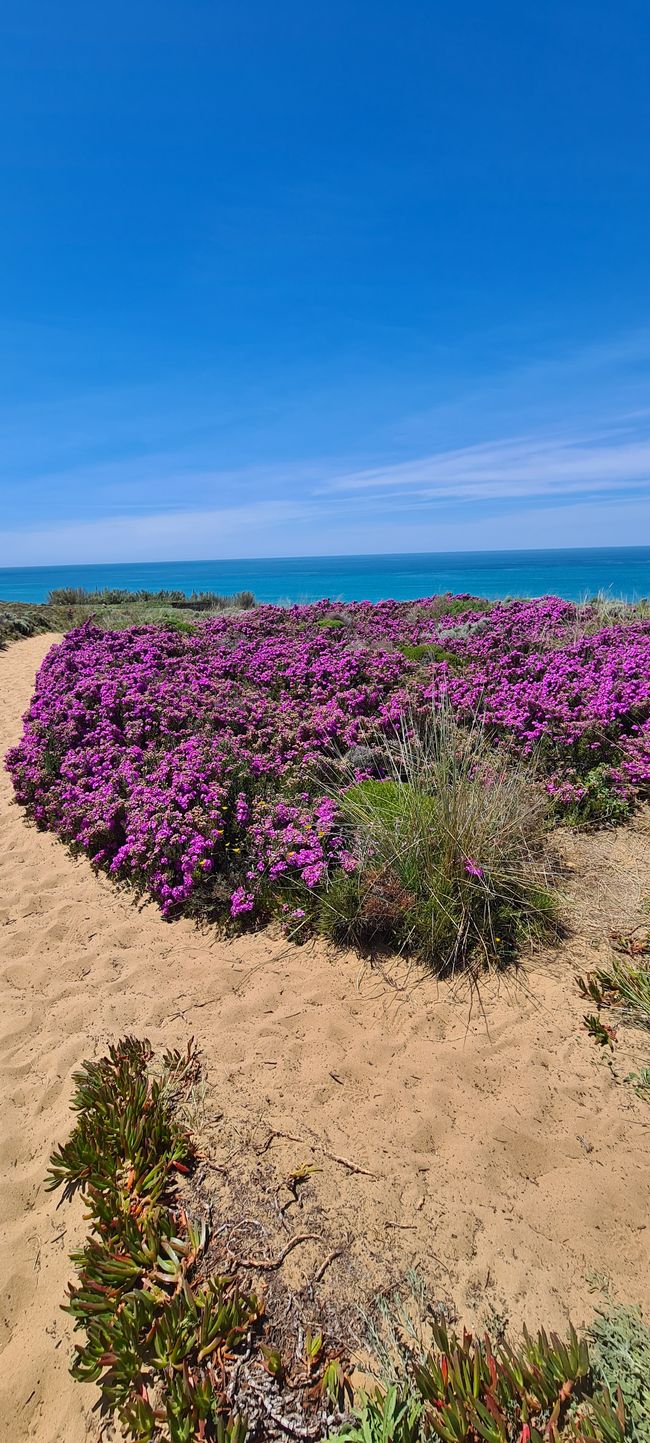 5th Stage Zambujeira do Mar - Praia de Odeceixe
