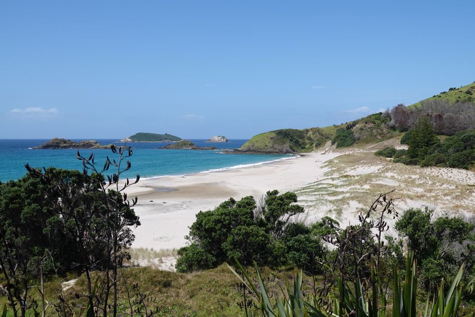 De Nueva Zelanda a Australia ....