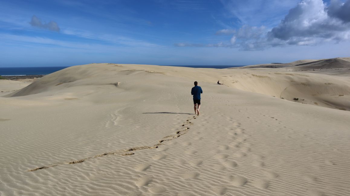 Te Paki Giant Sand Dunes