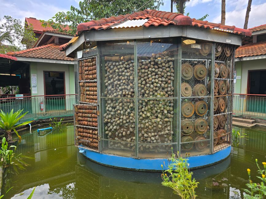 Aki Ra's Cambodia Landmine Museum
