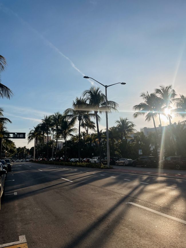 Bienvenue à Miami 1ee1f8