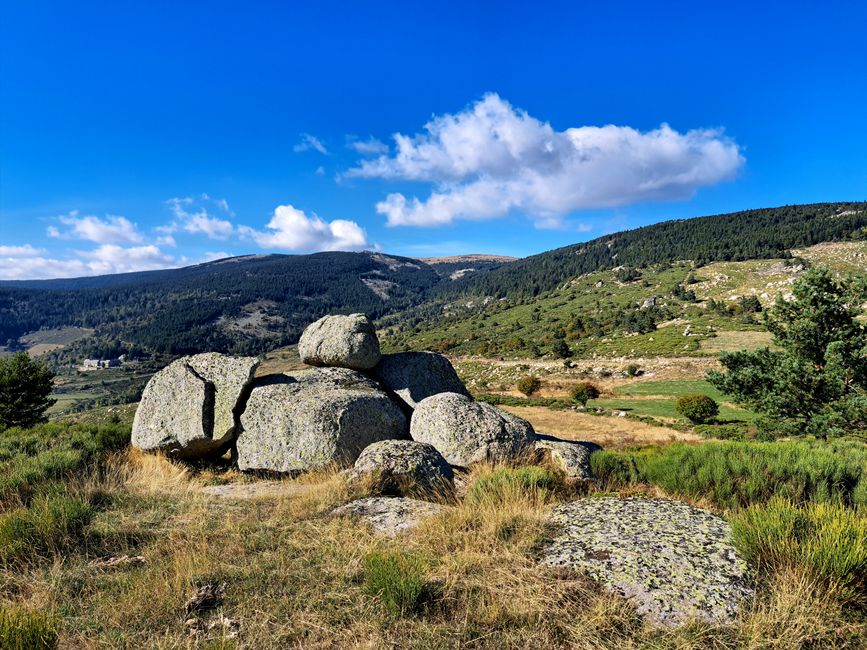 Steine im Lozére