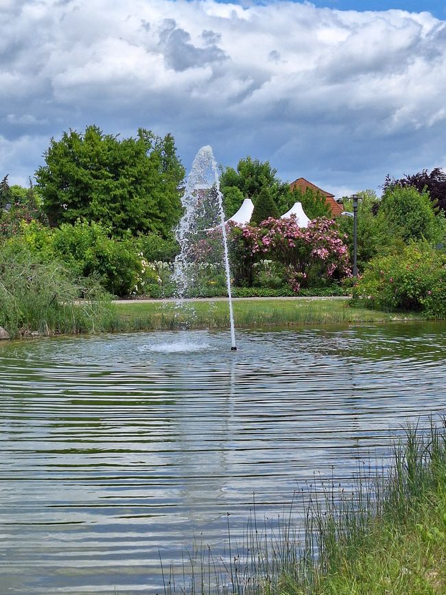 Teich