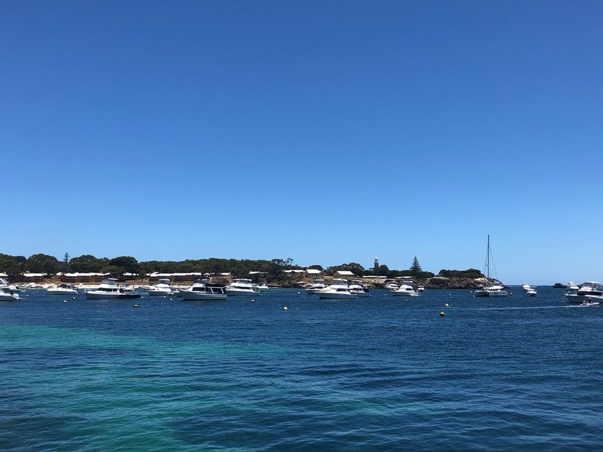 ... vers l'Île Rottnest