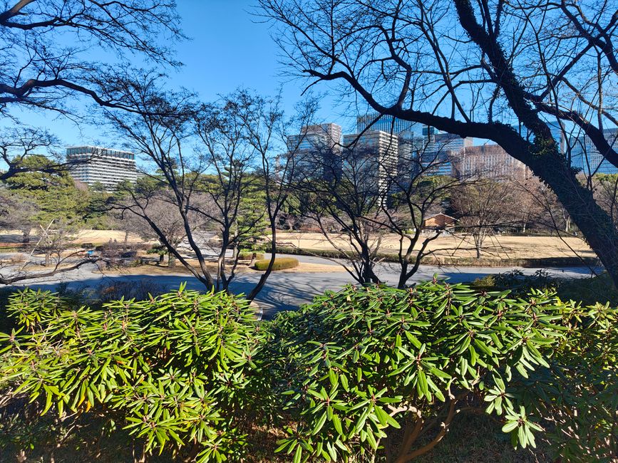 Vom Kaiser zu Pokémon – Tokio in allen Facetten