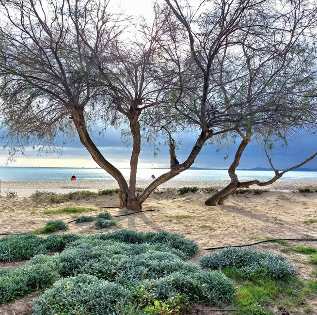 Mallorca