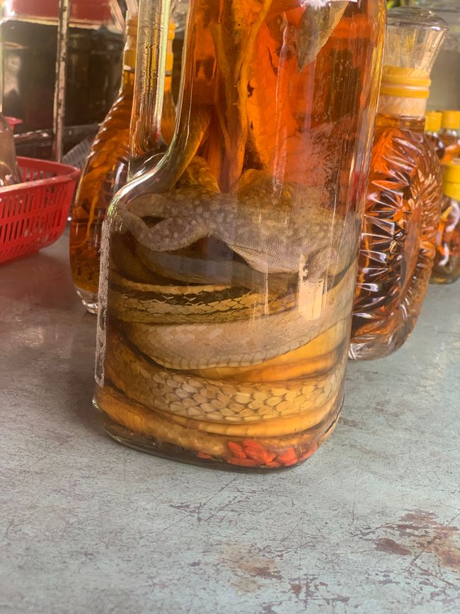Typisch für Vietnam der Schlangenachnaps Rượu Rắn, der angeblich für die Gesundheit zuträglich sein soll… Giftschlangen in Alkohol, manchmal auch Skorpione oder Vögel