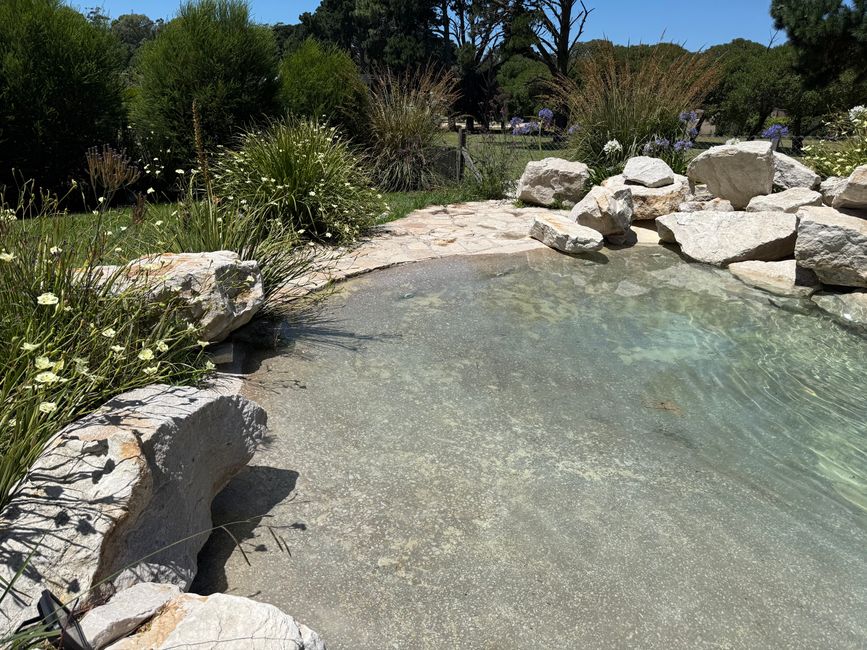 Der Pool. Der letzte Teil.