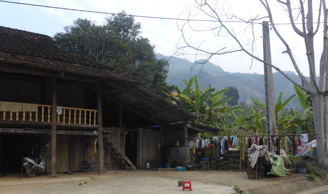 Maisons en bois 