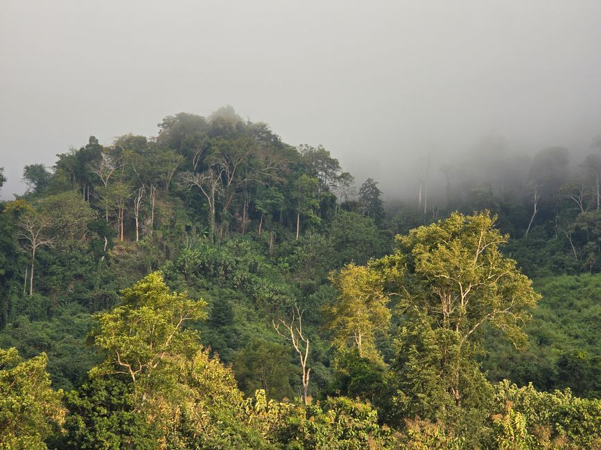Auf dem Mekong von Luang Prabang nach Ban Houayxay