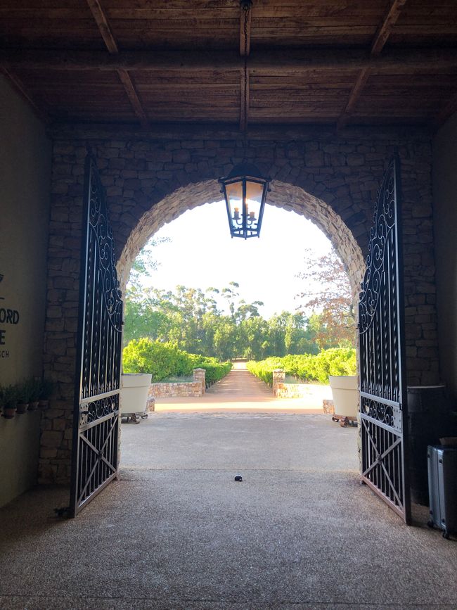Waterford Wine Estate
