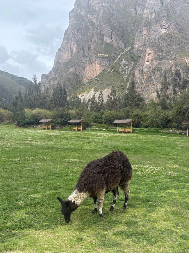 Ollantaytambo