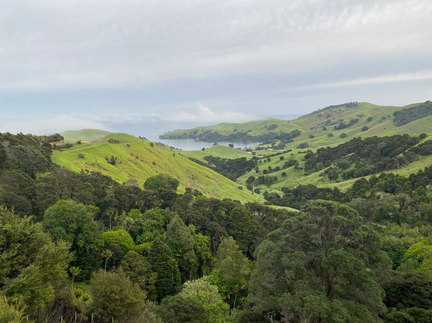 Coromandel loop