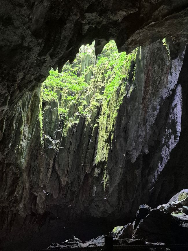 Parc National de Mulu