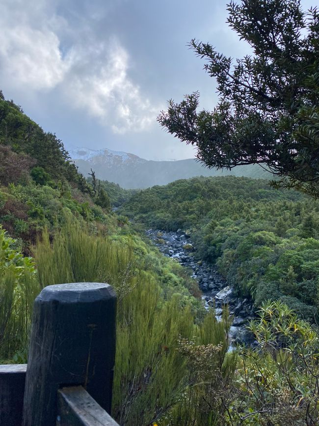 Mt. Taranaki in the background