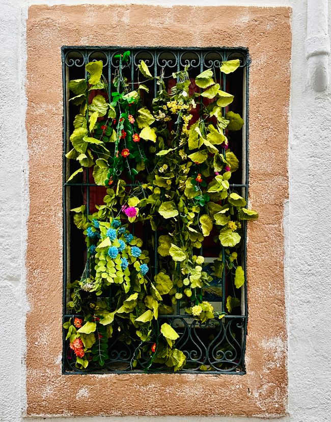 Uns geht’s gut, Danke! 
Küstenstrasse von Sant Feliu de Guíxols bis Tossa de Mar