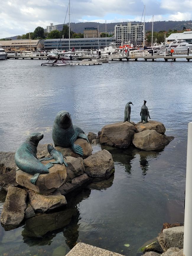 Tag 90 und 91 von 175: Kreuzfahrt rund um die Welt - Hobart/ Tasmanien/Australien und Seetag