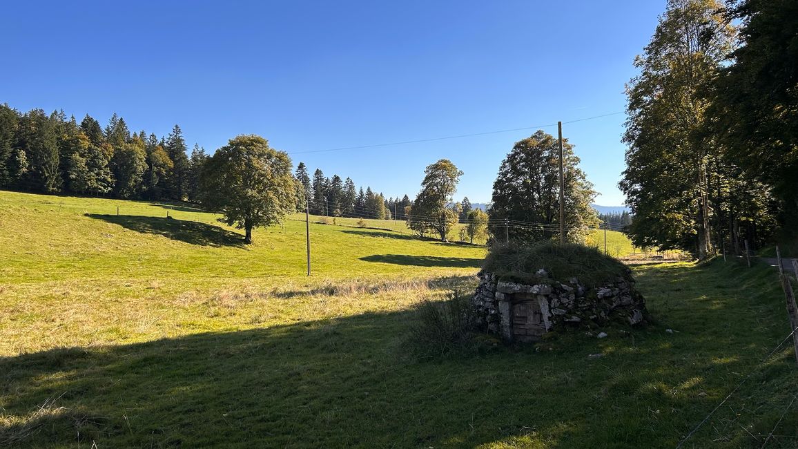 Ein Kühlschrank im Jury-Style