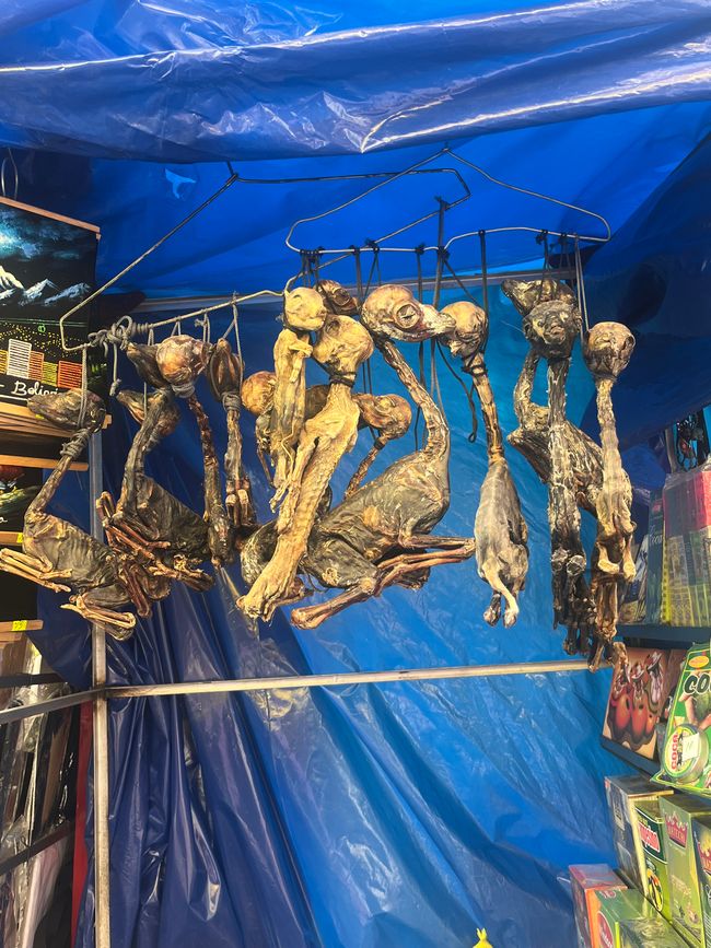 Fetos de llama en el mercado de brujas