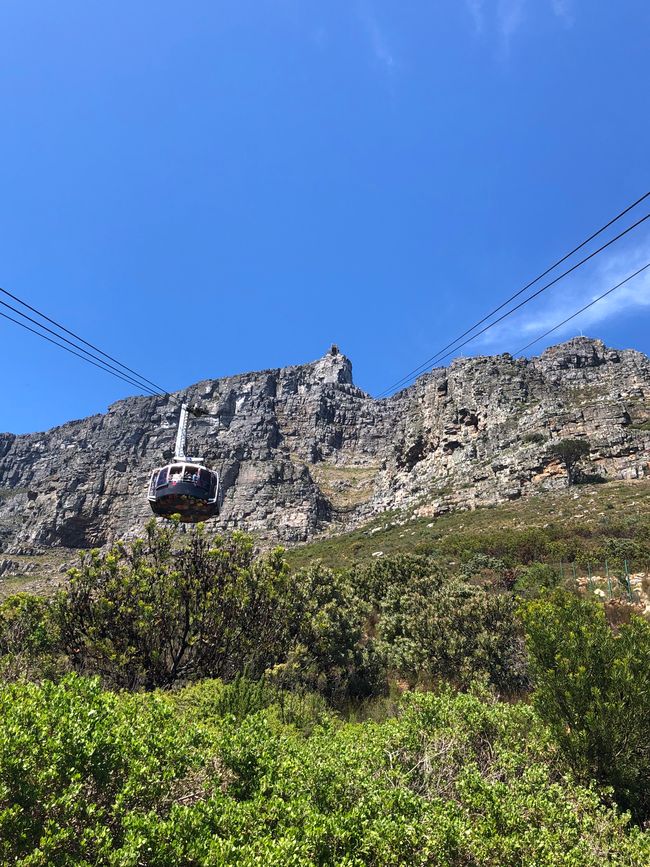 #7/7 - Kapstadt - Tafelberg - Abreise