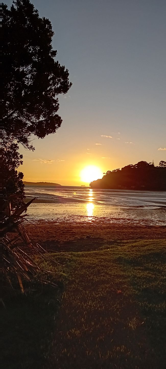 Coromandel Norte