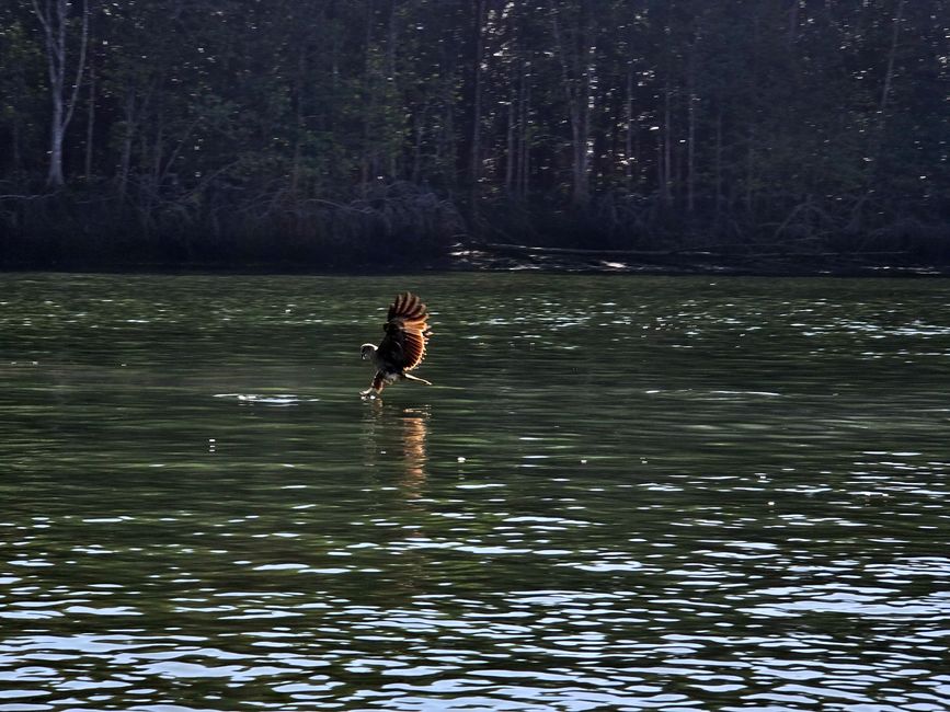 Langkawi - Reif für die Insel!