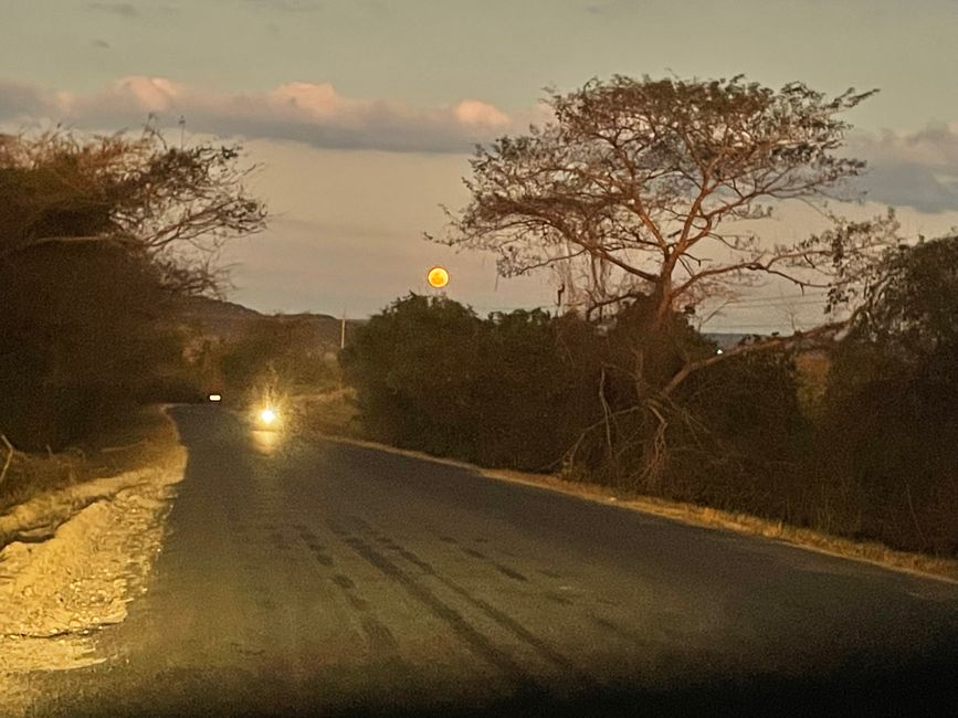 Vollmond-Landschaft 