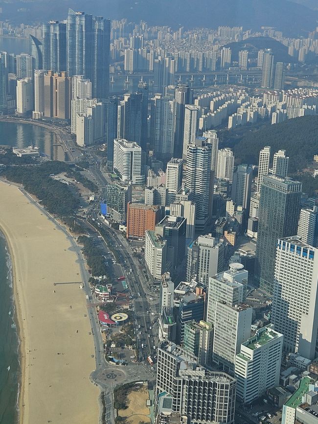81. 标记釜山,韩国,2026年2月13日