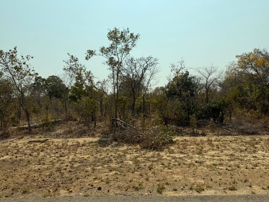 Good-Bye, Zimbabwe