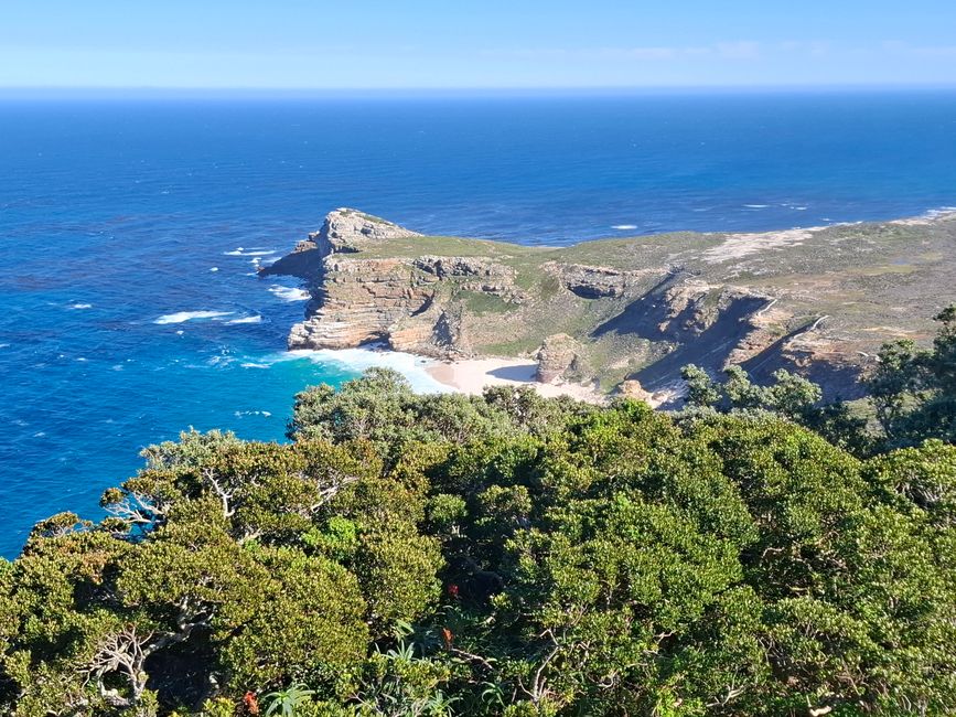 Cabo de Buena Esperanza + Playa de Boulders