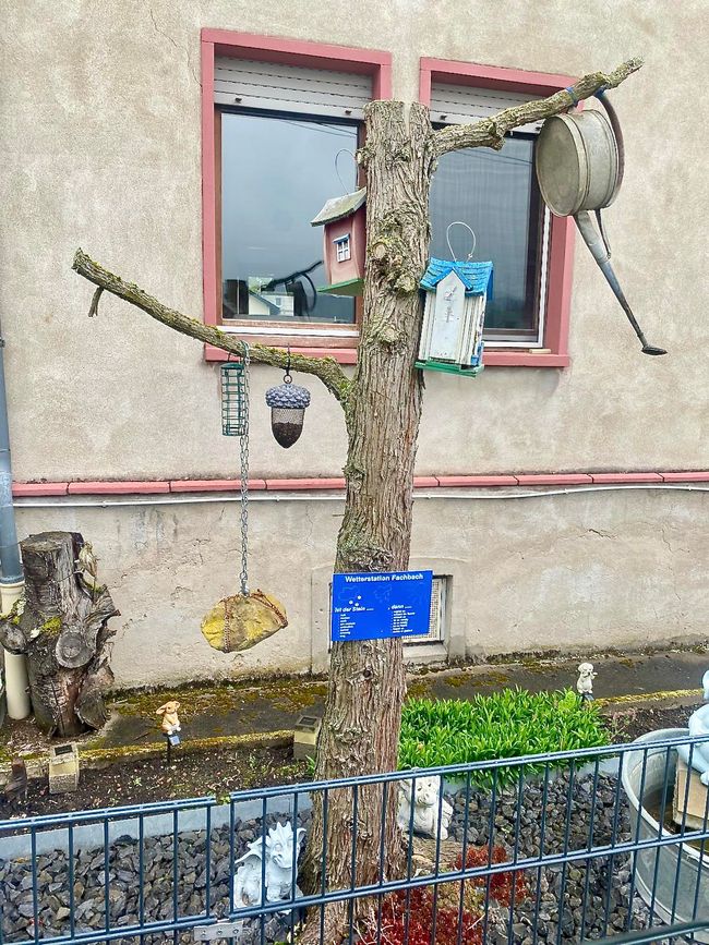 A weather station of a special kind.