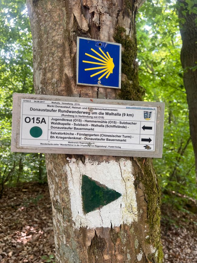 19b Domspatzen und Walhalla