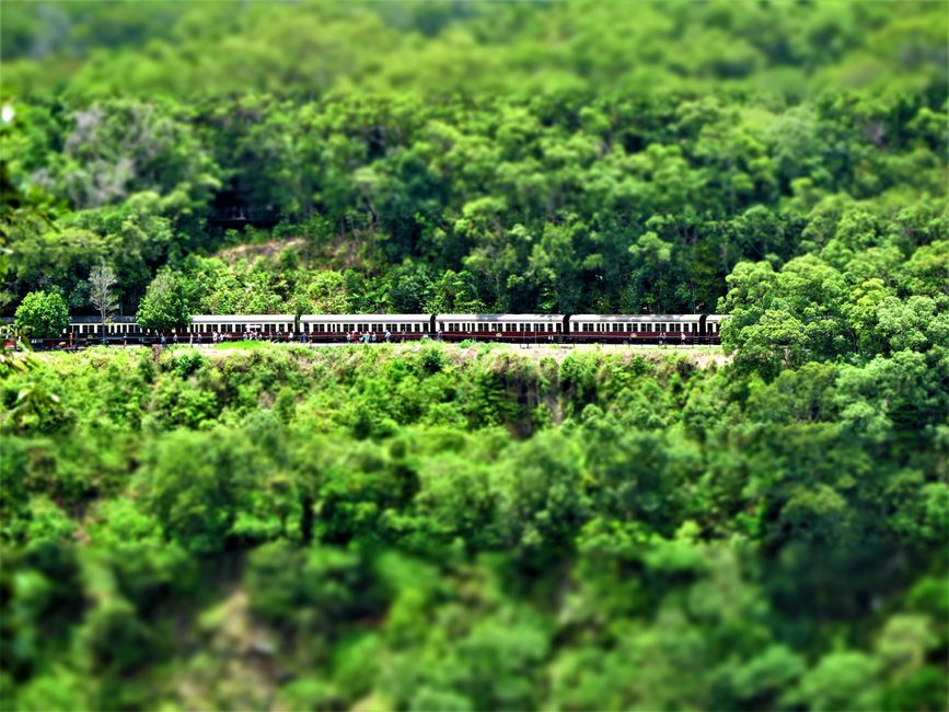 Der Kuranda Scenic Railway im Regenwald.